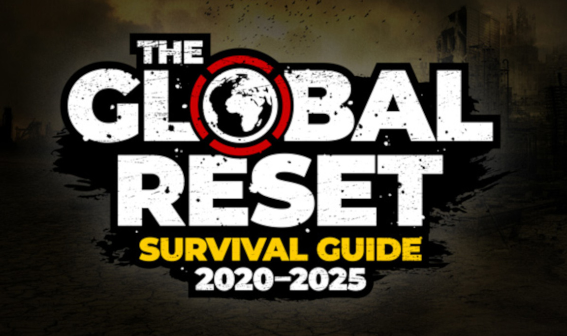 The Global Reset Survival Guide banner