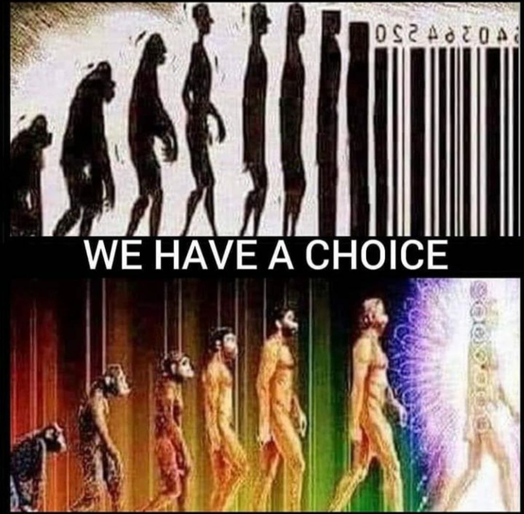 We have a choice - enlightement