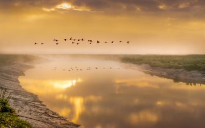 Je bent NU al vrij – Ilse van Dam