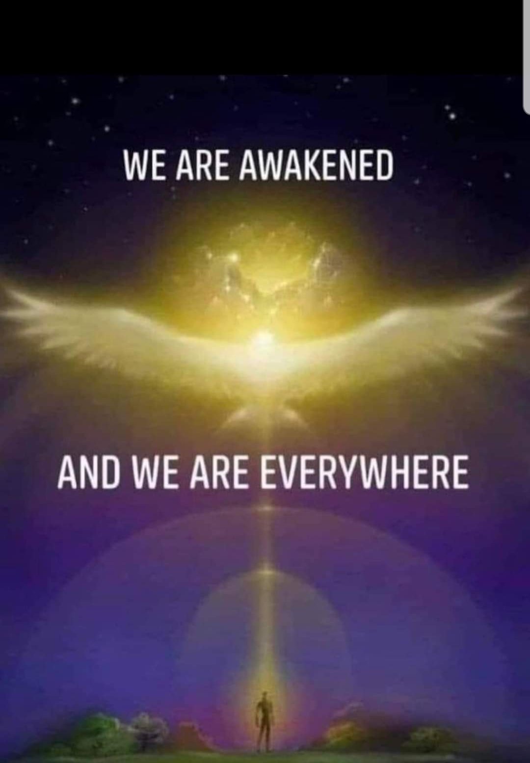 We are Awakened - And we are Everywhere